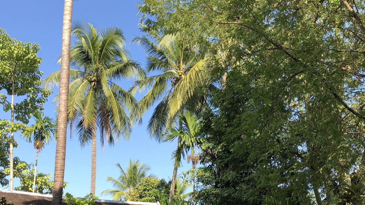 Luang Prabang Villa | Maison Houng Chanh - Luang prabang