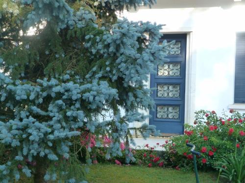 Merignac House | Maison MARYSA