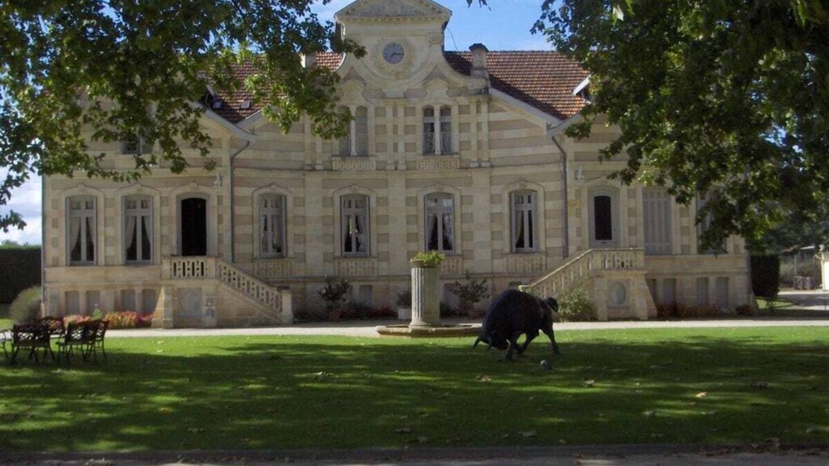 Moulis-en-Medoc House | "Maison Moulis en Medoc"