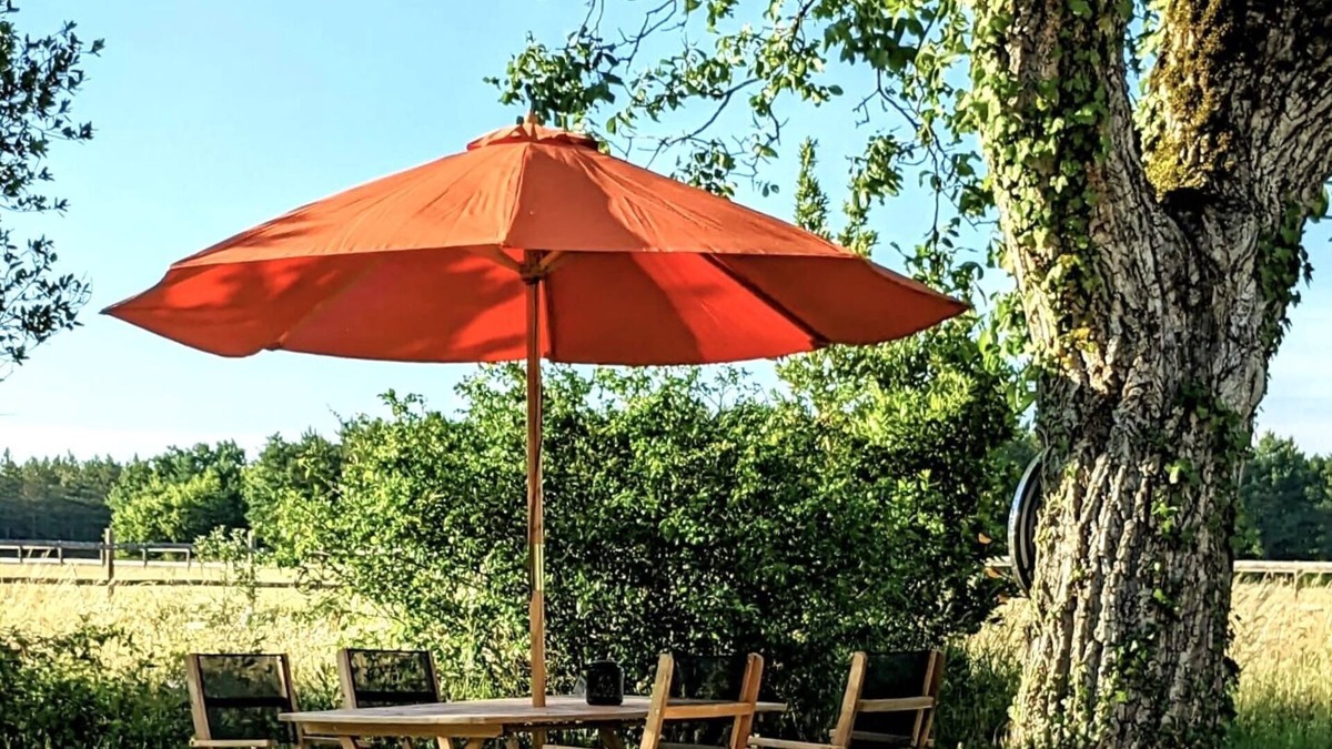 Fontaines-en-Sologne Apartment | Maison MOZ Studio Terrasse Pour un Séjour Intime Entre Chambord et Cheverny