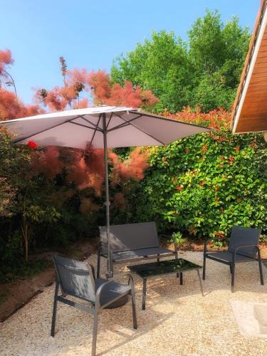 Sanguinet House | Maison paisible avec jardin, terrasse privée, proche du lac de Sanguinet