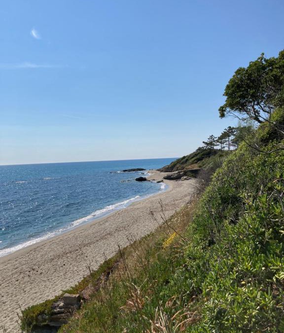 Bravone House | Maison pieds dans l eau avec piscine et clim