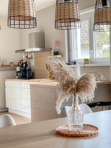 La Petite-Pierre House | Maison Privilège Nature à La Petite Pierre