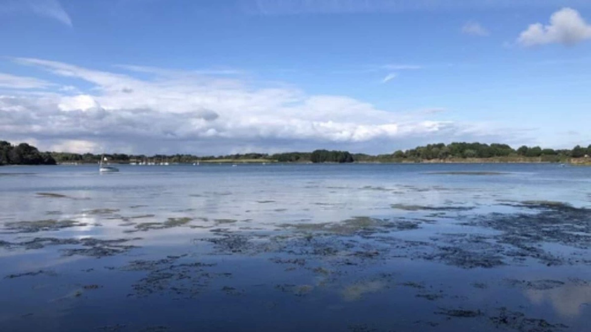 Sarzeau House | Maison Sarzeau Brillac Presquîle de Rhuys Golfe du Morbihan