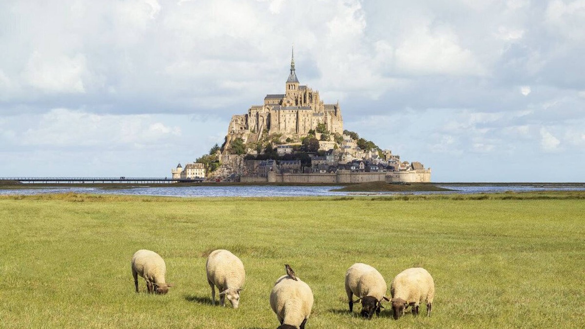 Huisnes-sur-Mer House | Maison Spacieuse Avec vue Imprenable sur le Mont Saint Michel !
