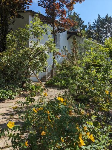 Lavilledieu House | Maison spacieuse et lumineuse 4 personnes