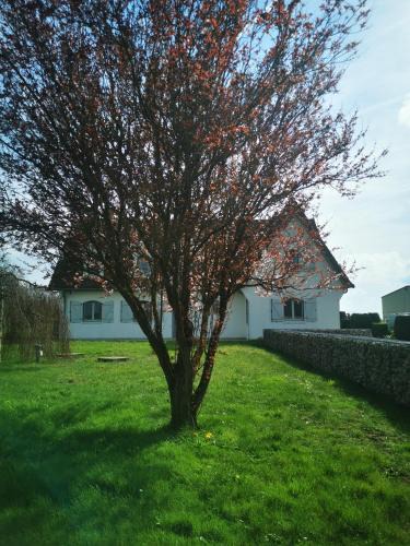 Rety Bed & Breakfast | Maison Terra Nova