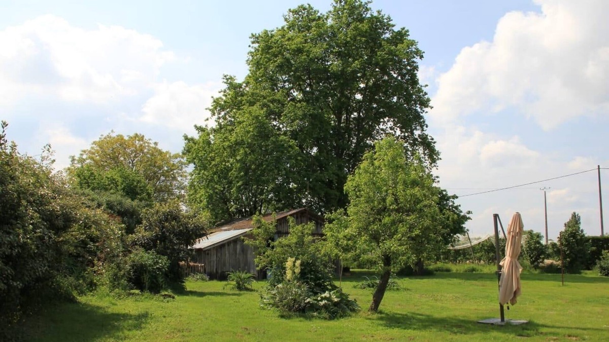 Castelmayran House | Maison Théodar - Charmante Toulousaine