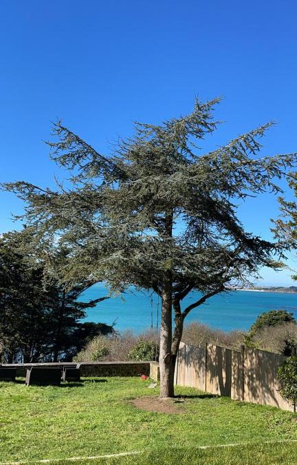 Lancieux Villa | Maison vue exeptionnelle sur la mer