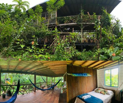 Bahia Solano Hotel | Majagua