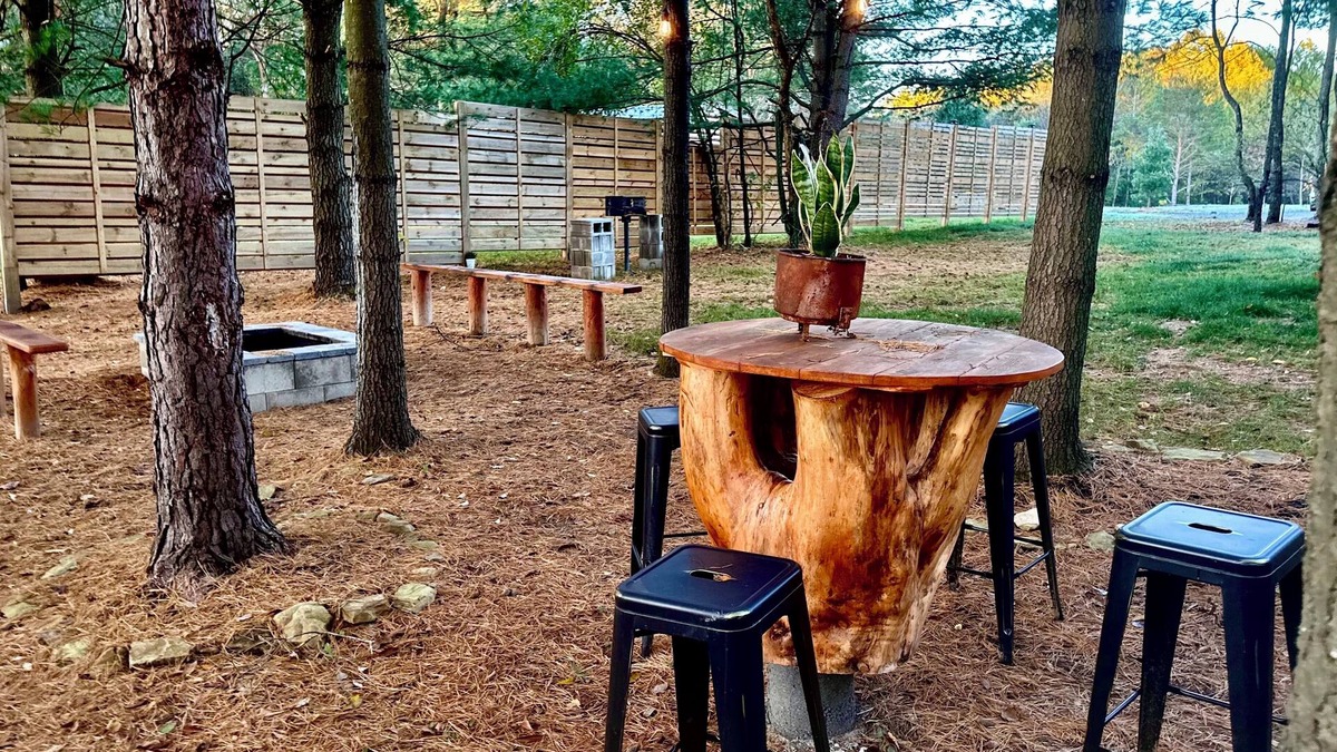 Marienville Cabin | Majestic Campfires Under The Stars, String Lights, and Tall Evergreen Trees