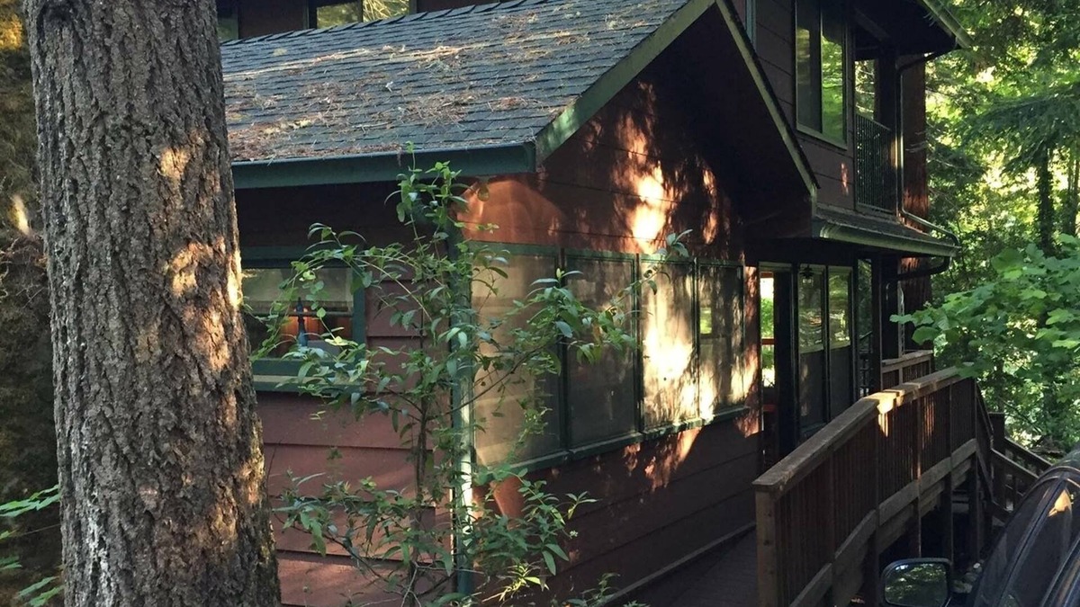 Redway Cabin | Majestic River Front Cabin (w/2 bedroom guest cottage)