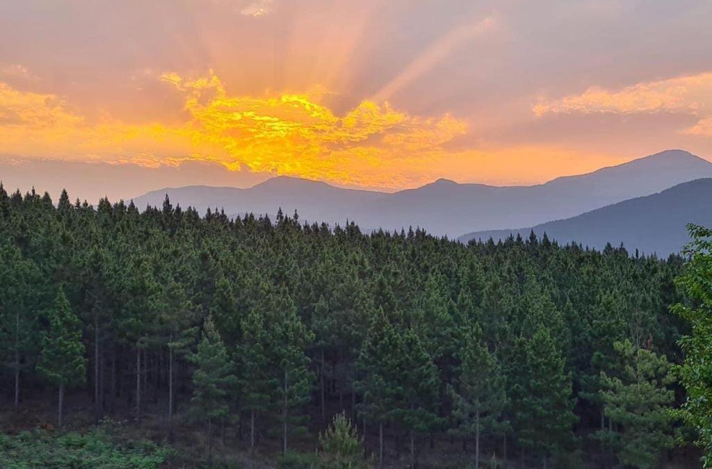 Sabie House | Majestic View Self Catering Guest House