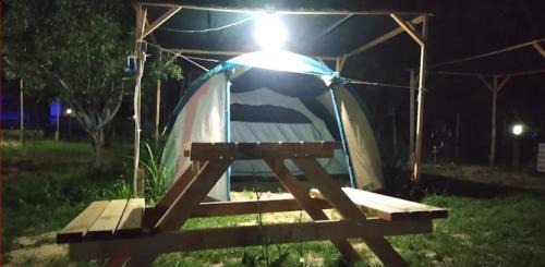 Murefte Other | Makara camp