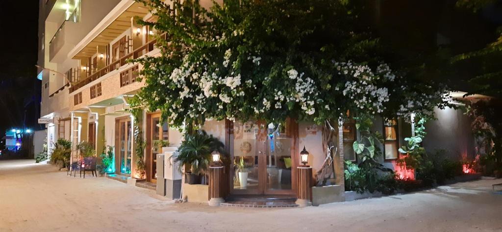 Maafushi House | Maladiwa Beach & Spa