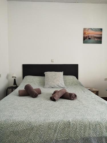 Los Tilos House | Malaga Rooms