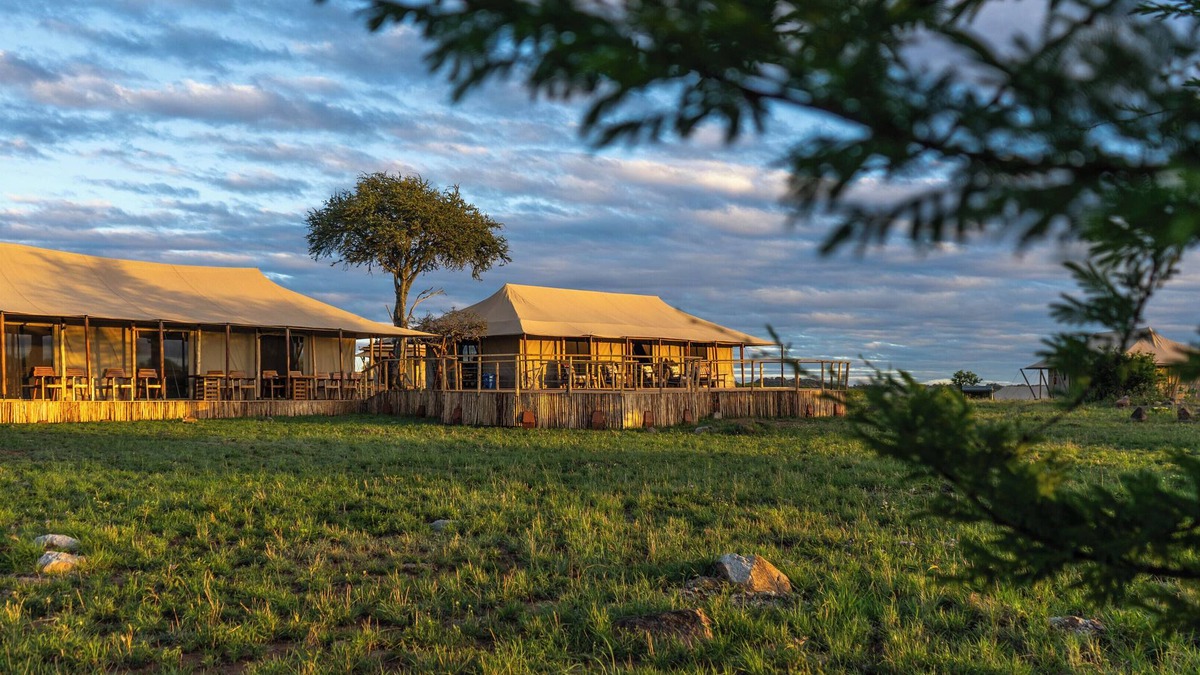 Seronera Other | Malaika Luxury Camp Seronera Serengeti