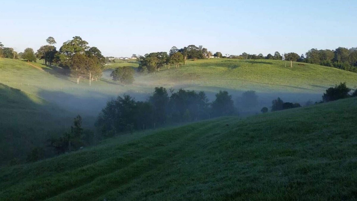 Maleny Cabin | Maleny Clover Cottages (Cottage Two)
