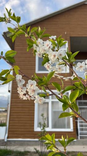 Bosteri Apartment | Malina guest house