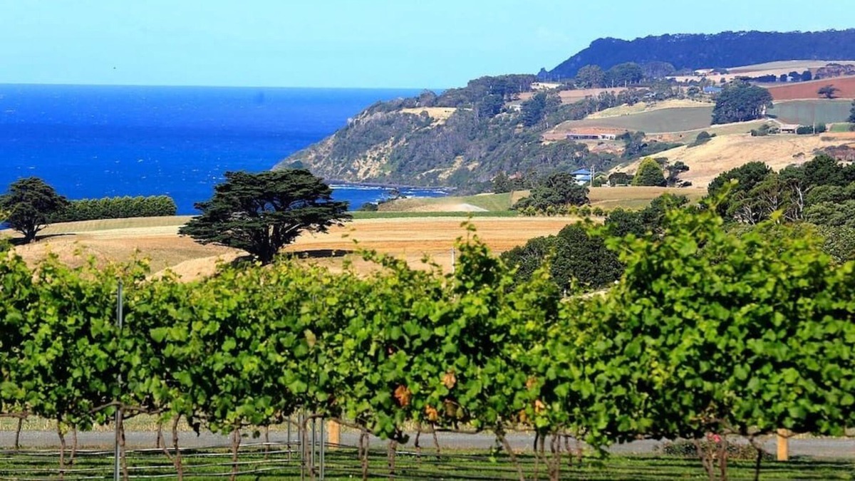 Boat Harbour Cottage | Mallavale Farm Boat Harbour - stunning ocean views