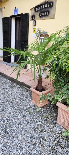 Case Nuove House | Malpensa Guest