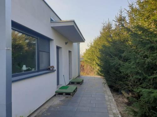 Sroda Wielkopolska Apartment | Maly apartament w zieleni blisko jeziora