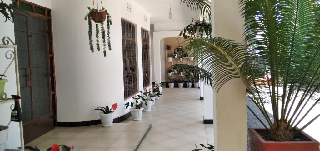 Arusha House | mamacollins homestay