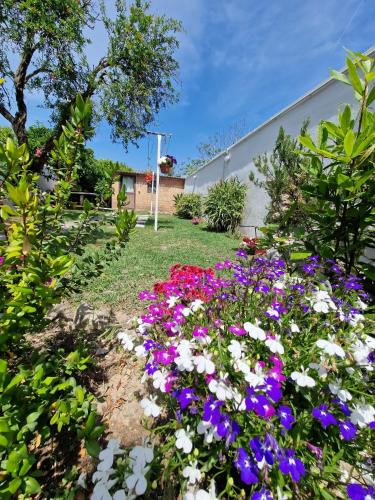 Riola Sardo House | Mammaioa house
