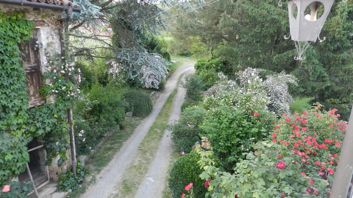 Vesime Bed & Breakfast | MAMOTA B&B, an oasis in the Langhe.