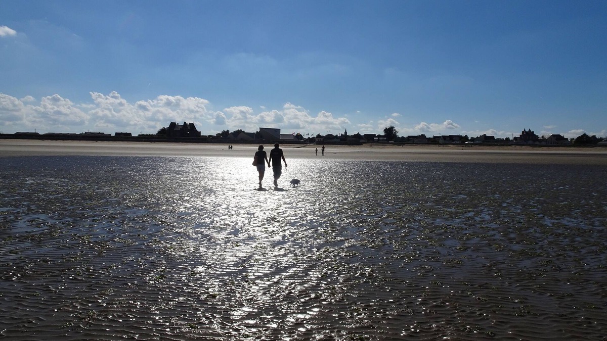 Quineville House | Manche Normandie Quinéville 100 m from the sea, Saint Vaast la Hougue closed ground.