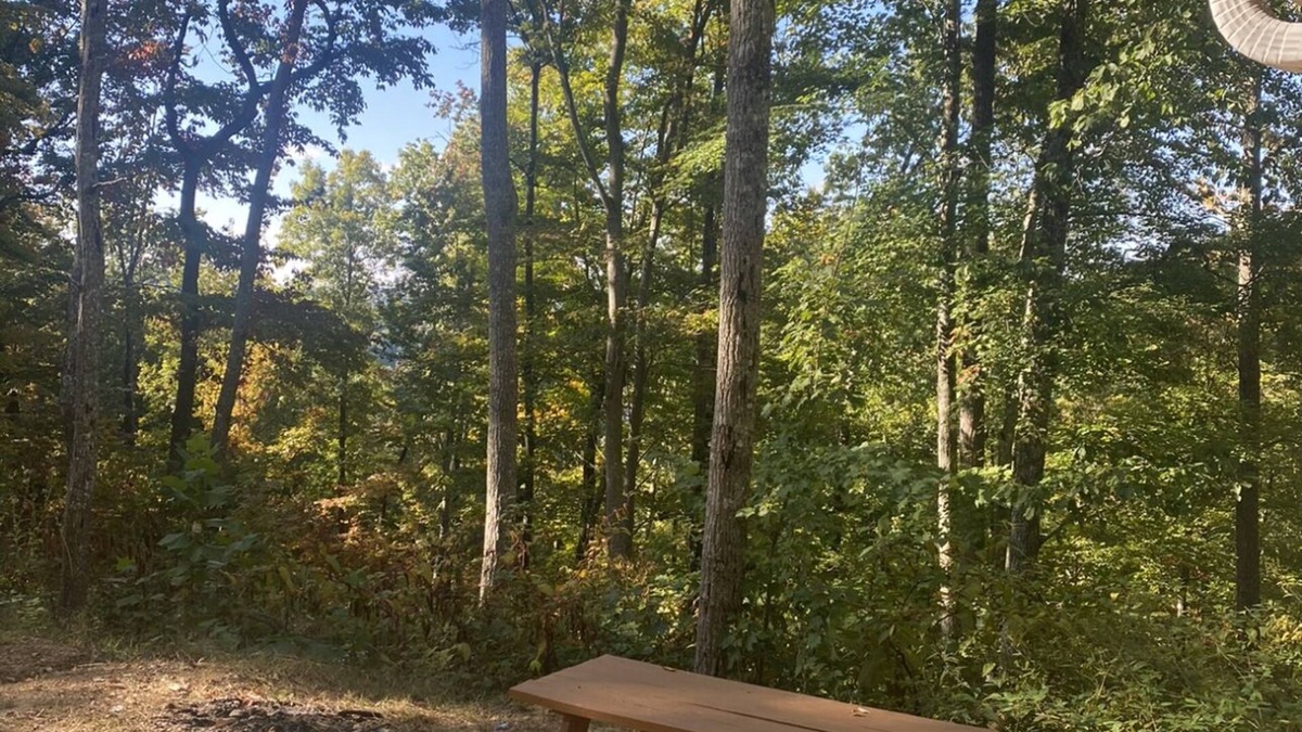 Goose Rock Cabin | Manchester's Mountain of RestnMountain top/private/sunsets/animals/rest relax
