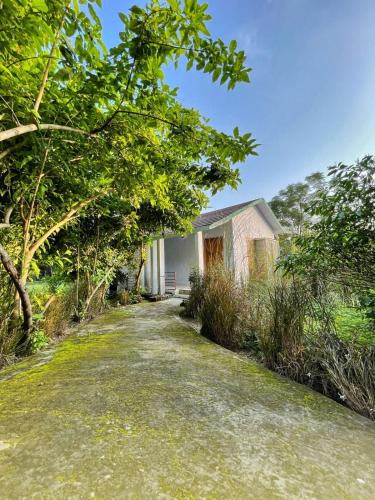 Mohaan House | Mandaal Corbett
