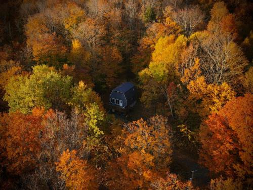 East Dover House | Mandy's Mountain Chalet