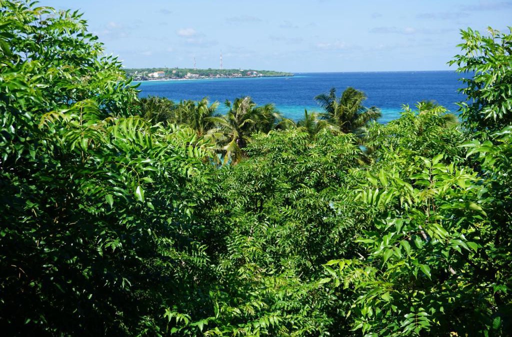 Bira Resort | Mangga Lodge