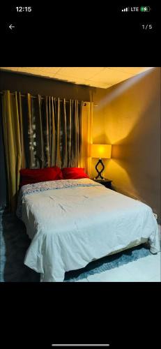 Chilibre House | Mango house