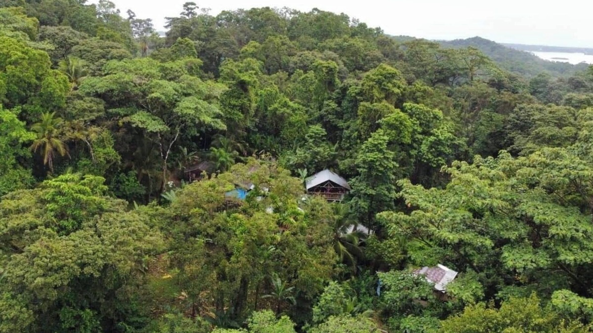Isla Bastimentos Villa | Manipura Room: Private Balcony, Hammock & Stunning Jungle Views!