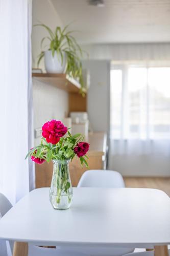 Kuressaare House | Manni's house with garden & playground