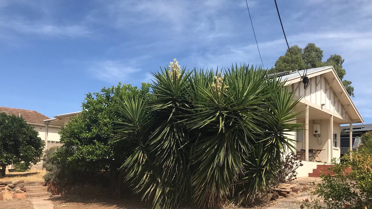 Mannum Cottage | Mannum Cottage