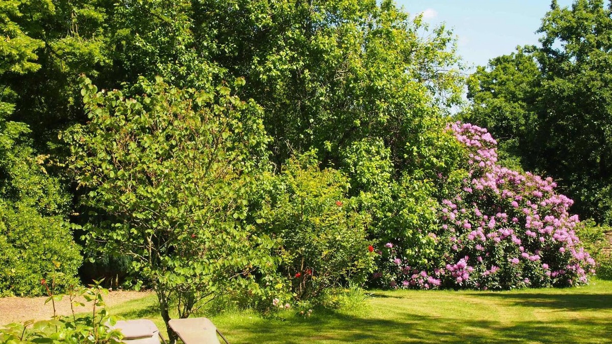 Sixt-sur-Aff Bed & Breakfast | Manoir de Pommery