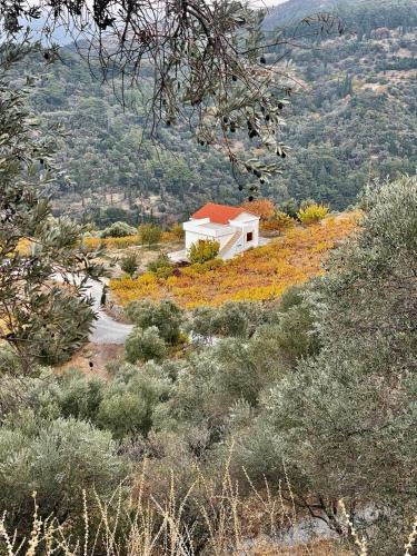 Manolates House | Manolates 360