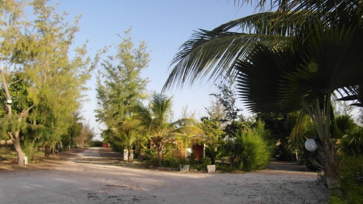 Niaga House | Manon Des Sources