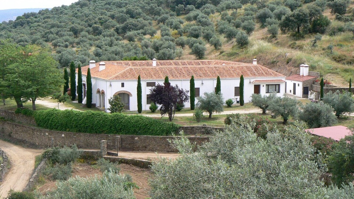 Pago de San Clemente Cottage | Manor house among cypresses and olive trees