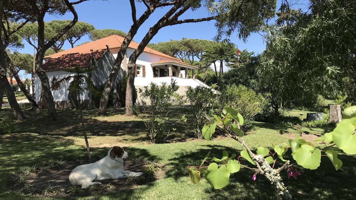 Magoito House | Manor House private pool/near the beach in Sintra/Cascais Natural Park