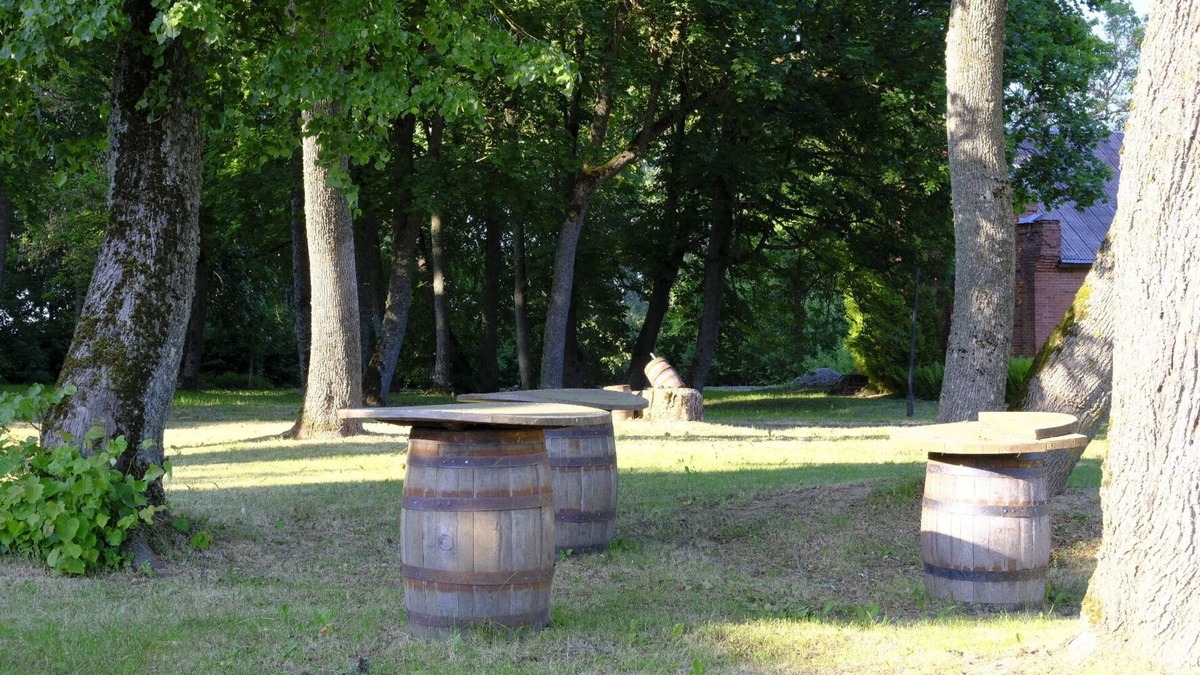 Panevezys county Other | Manor house rentals for family holidays, celebrations and getaways!