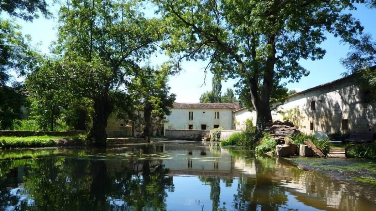 Centre Ville House | Mansion - Niort