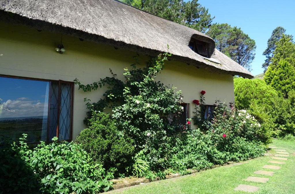 Rosetta House | Manwood Lodge