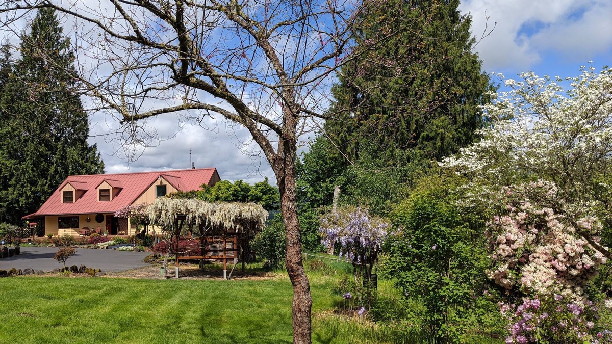 Woodland Bed & Breakfast | MapleRidge House ~ A BnB for All Seasons!n ~ A LICENSE TO CHILL ~