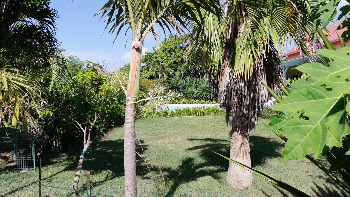 Le Moule House | - Mapou Bungalow -