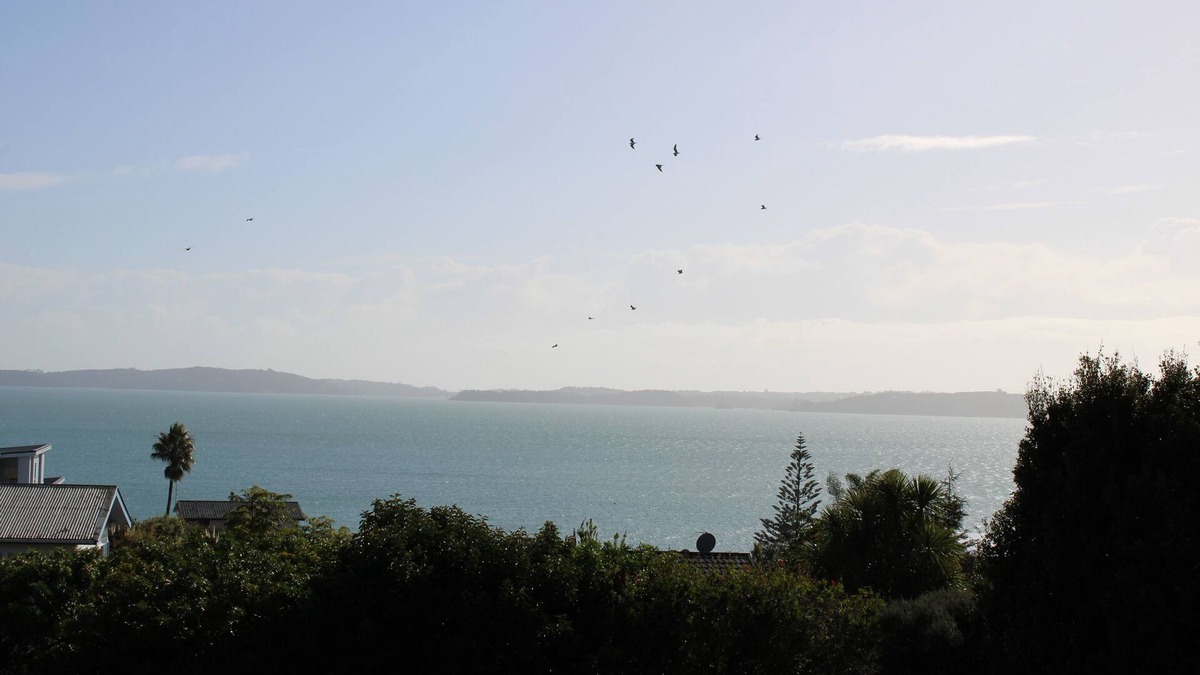 Maraetai House | Maraetai Yacht Club