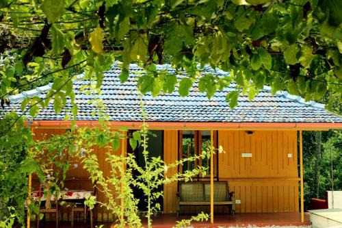Alappuzha House | Marari Beach Pearl Homestay